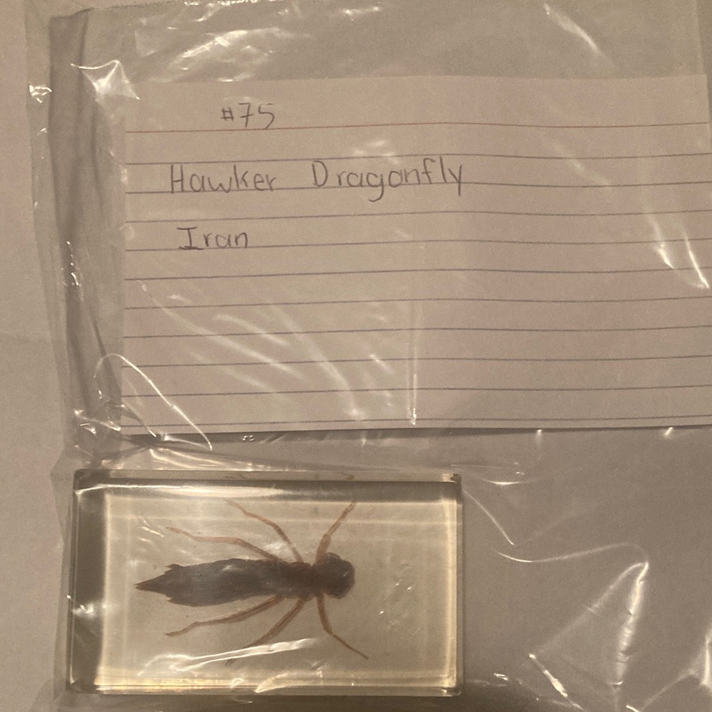 Hawker Dragonfly- Iran